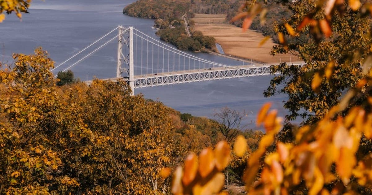 Hemp vs. Marijuana: Legal Definitions and Why They Matter