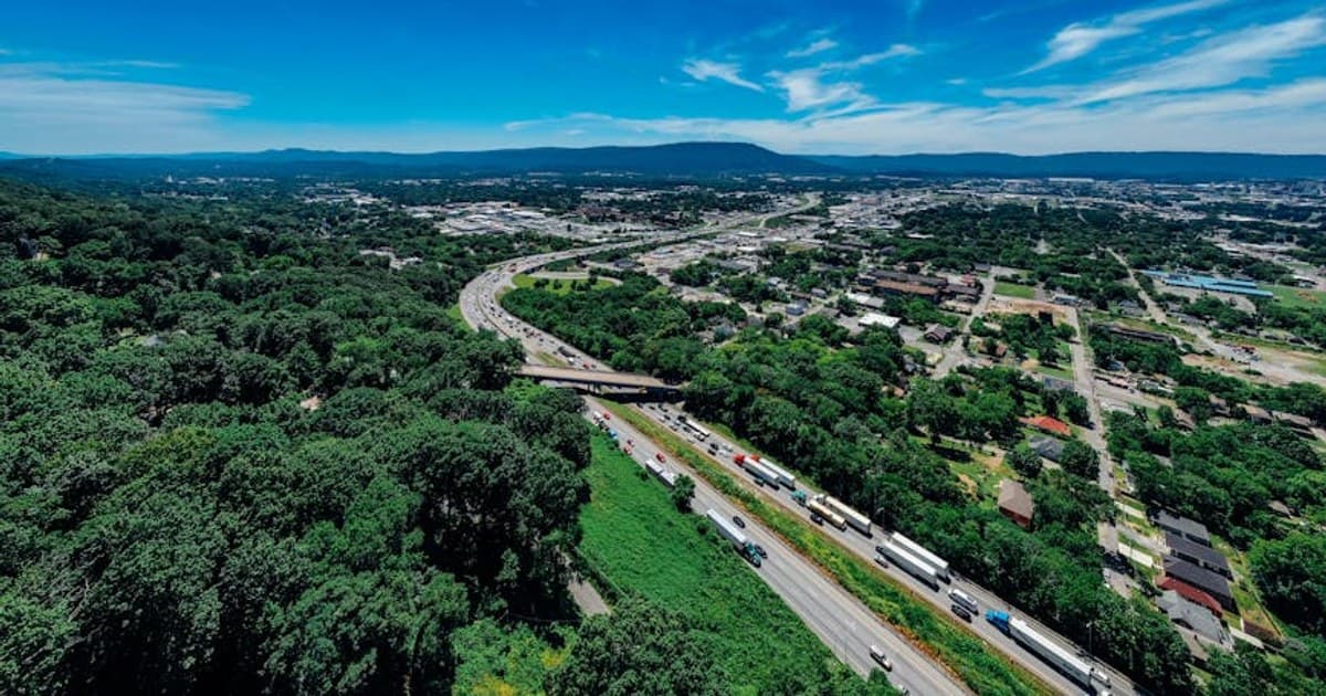 Cannabis Taxes Explained: How Much You're Really Paying and Why