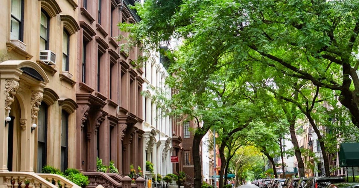 Cannabis and Pets: Is It Safe? What Every Pet Owner Should Know