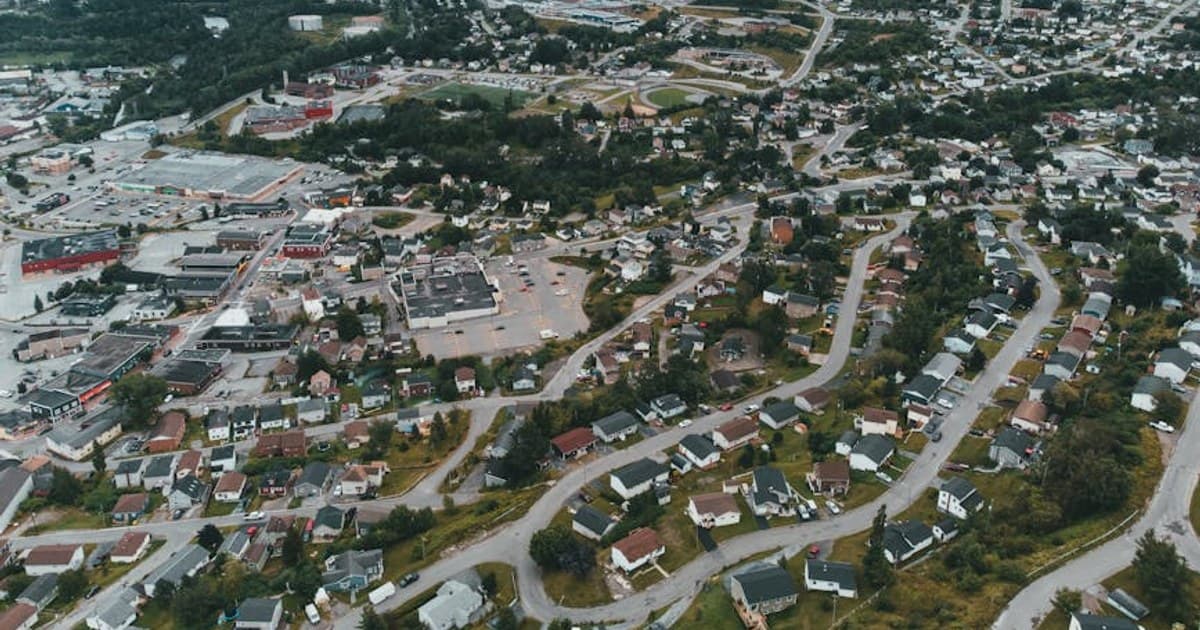 How to Store Cannabis Properly: Keep Your Flower Fresh Longer