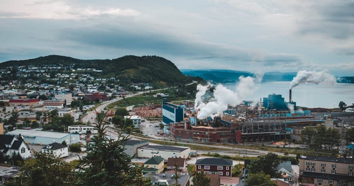 Indoor vs. Outdoor Cannabis Growing: Pros, Cons, and Key Differences