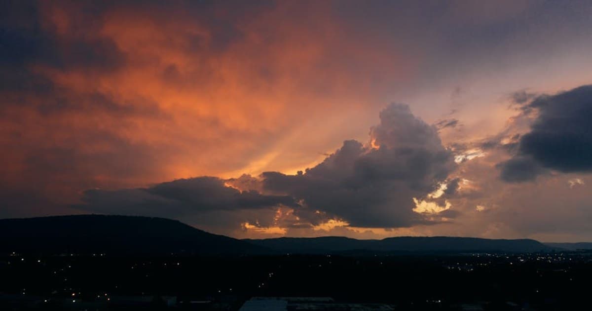 Cannabis and Opioid Reduction: What the Studies Show