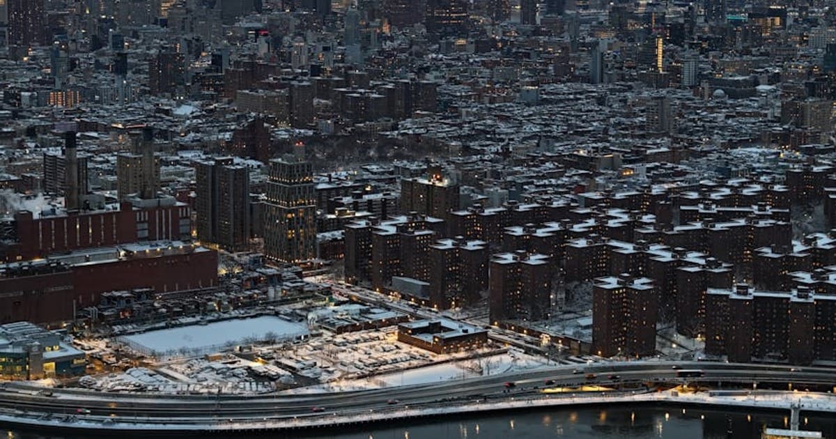 CBG Explained: Benefits, Uses, and How It Differs from CBD