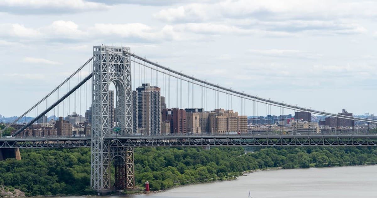 The Entourage Effect: Why Whole-Plant Cannabis May Work Better