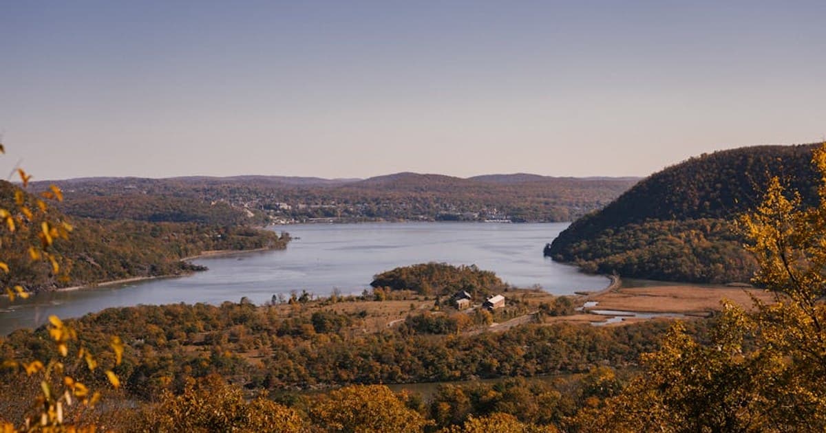 Cannabis vs. Alcohol: Health Comparisons and Harm Reduction