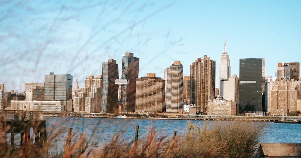 Cannabis for Inflammation: How Cannabinoids Interact with the Immune System