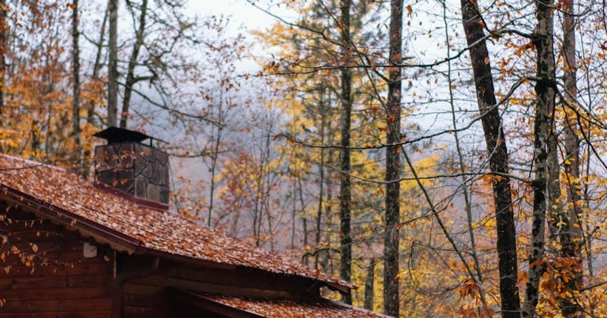 Responsible Cannabis Use: Tips for Staying Safe and in Control