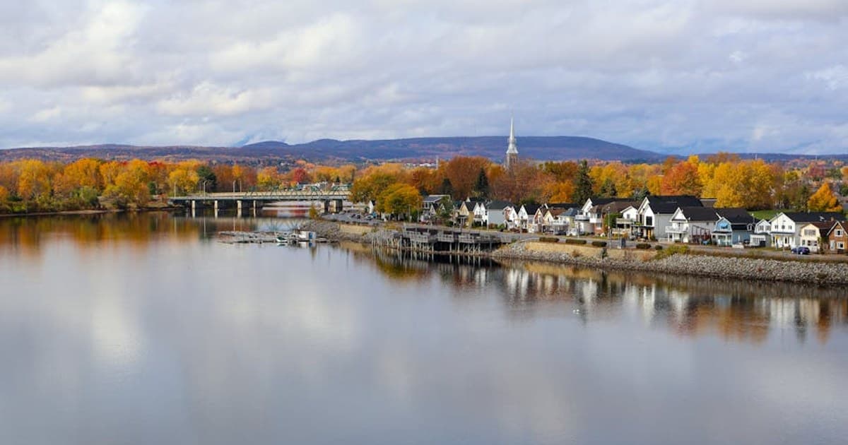 Cannabis Tinctures Explained: How to Use Them and Find the Right Dose