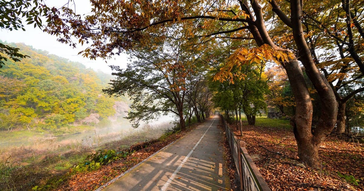 Scenic autumn pathway in a foggy park with trees shedding colorful leaves.