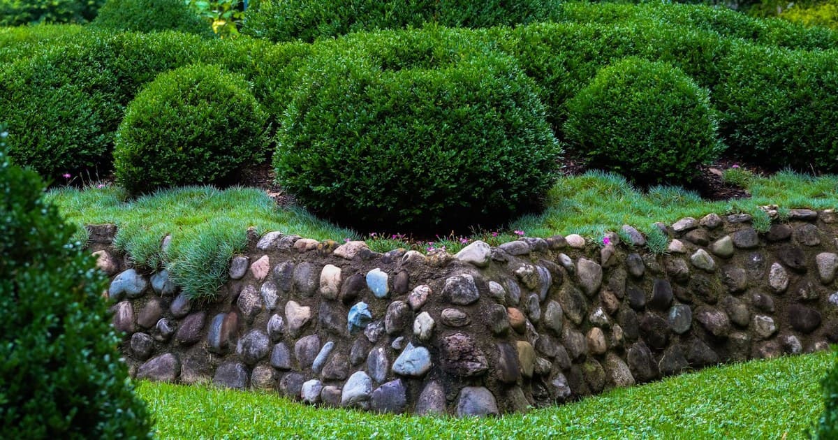 A vibrant green garden with neatly trimmed bushes and a rustic stone wall, exuding serenity and natural beauty.